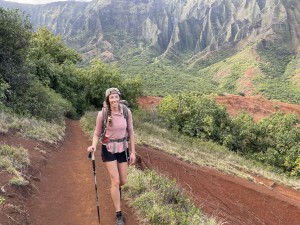 trekology trek-z 2.0