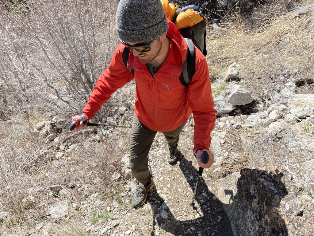 leki micro vario carbon - the leki micro vario carbon is a great pole for most uses.