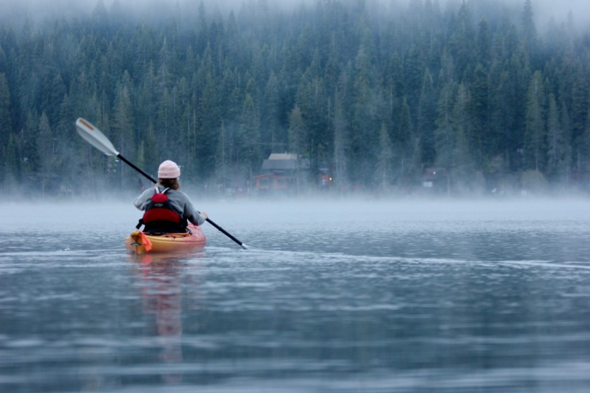 werner baja - winning an award for its exceptional value, the baja paddle is an...