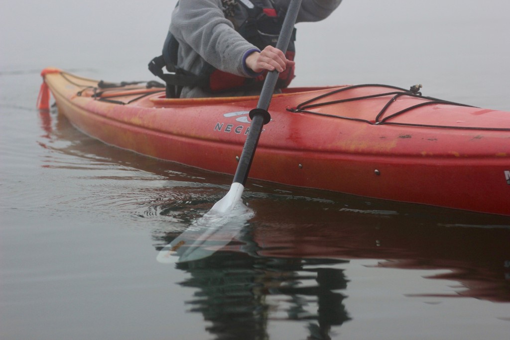 werner baja - even when put under pressure, the baja blades did not flex. an...