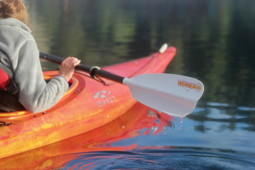 werner baja - the baja is cheaper than some other paddles offering a similar...