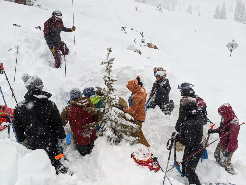 black diamond solution 150 merino - if you spend most of your winter out in the elements, this is the...