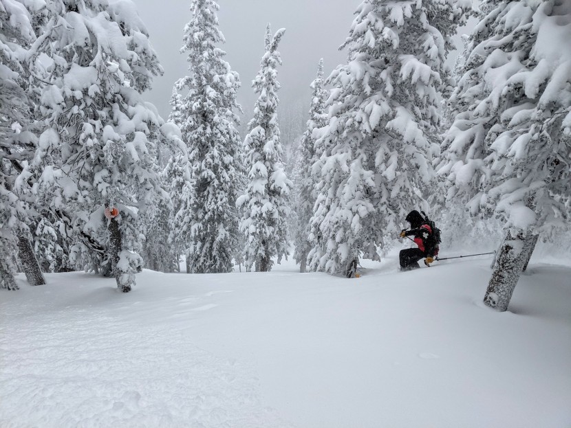 black diamond solution 150 merino - ski patrollers don't make a lot of money. but from one patroller to...