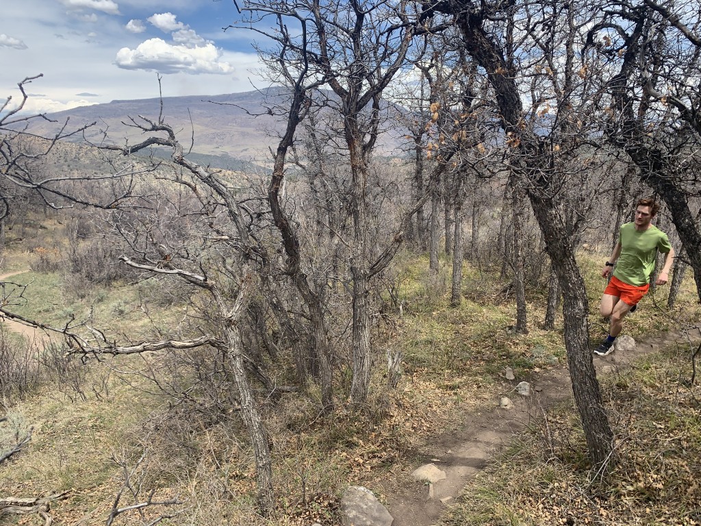 Patagonia women's 2024 airchaser shirt