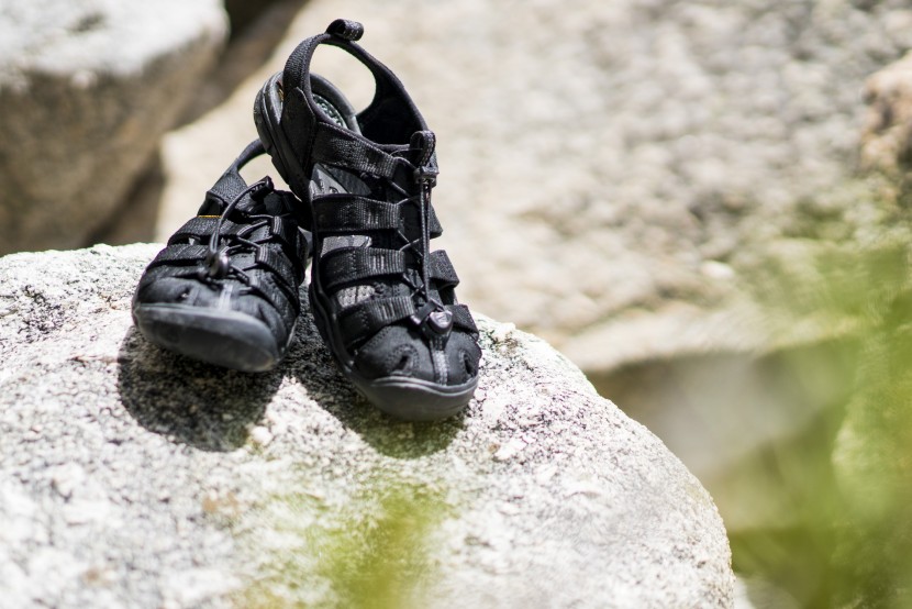 ケ*婦様 keen clearwater cnx us8 ウィメンズ サンダル | クリアウォーター シーエヌエックス