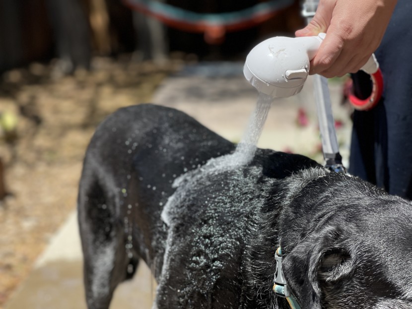 camping shower - the targeted spray mode of the camplux is extremely effective for...