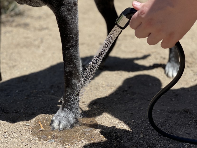 nemo helio pressure shower - powerful enough to rinse a dirty dog, yet comfortable enough to wash...