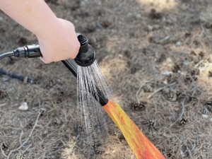 Product photo of WaterPort Weekender