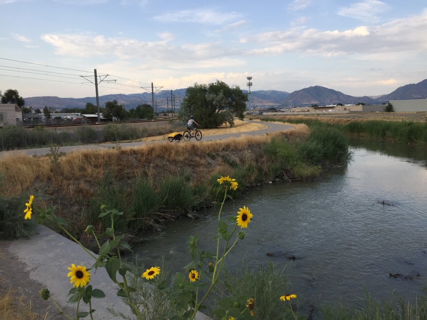 burley nomad - rolling down bike paths was smooth like a hot knife through butter...