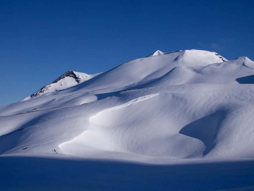 dynafit tlt speed - choose the budget tlt speed binding and save some dollars for...