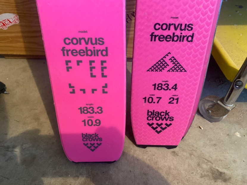 black-crows-corvus-freebird-