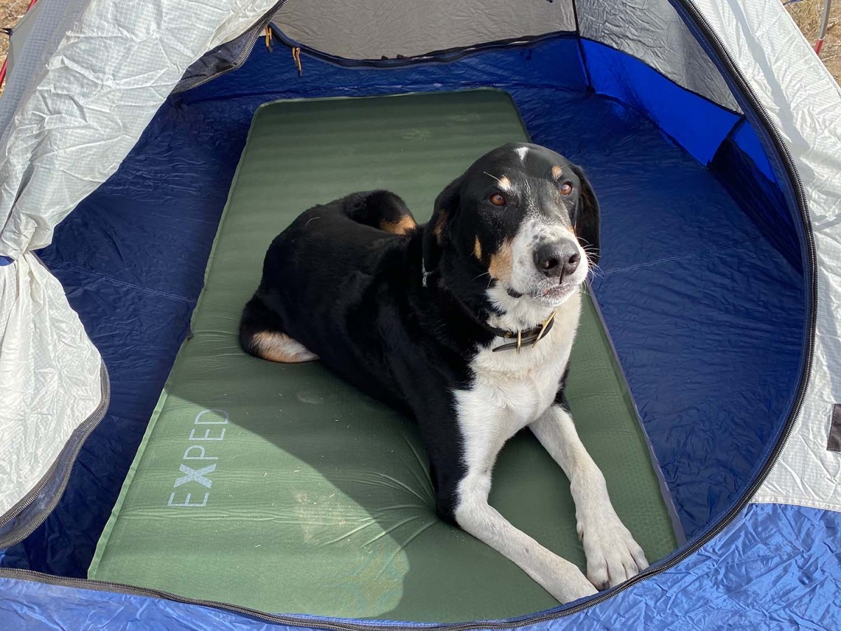 Exped MegaMat 10 Review (The tester dog loves the MegaMat 10, too.)