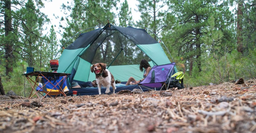 camping tent - tip to tail, this tent packs just enough of what you need in an...