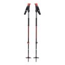 backcountry ski poles