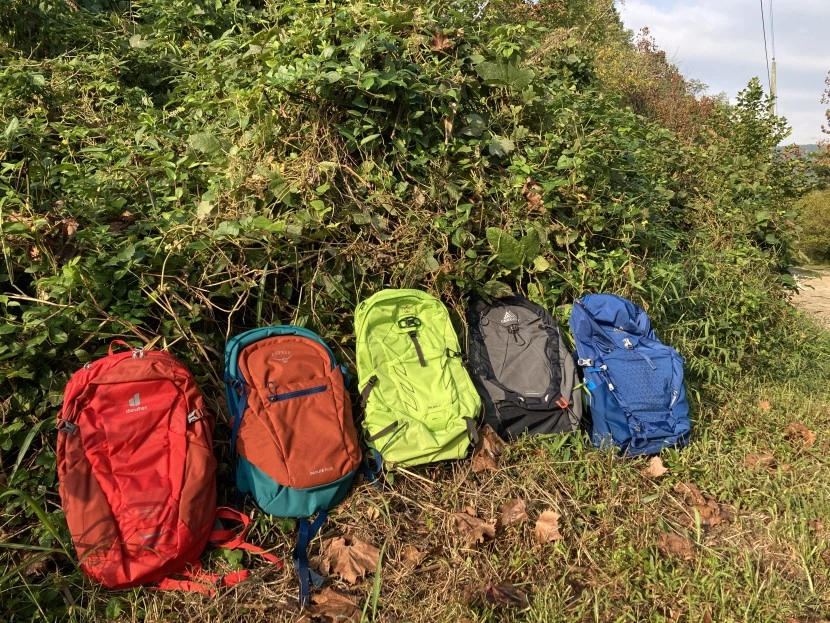 daypack - there are many excellent options at any price point.