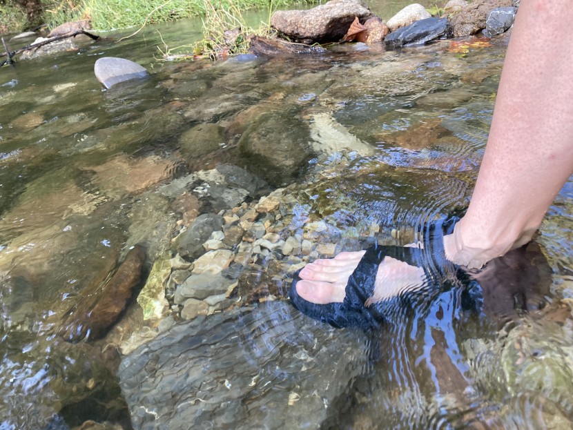chaco z/1 classic - the z/classic handles a sandal&#039;s most common element, water, with...