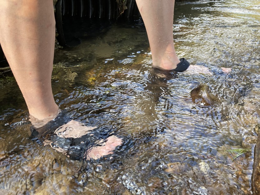 the tread and comfort let these sandals take you over any terrain...
