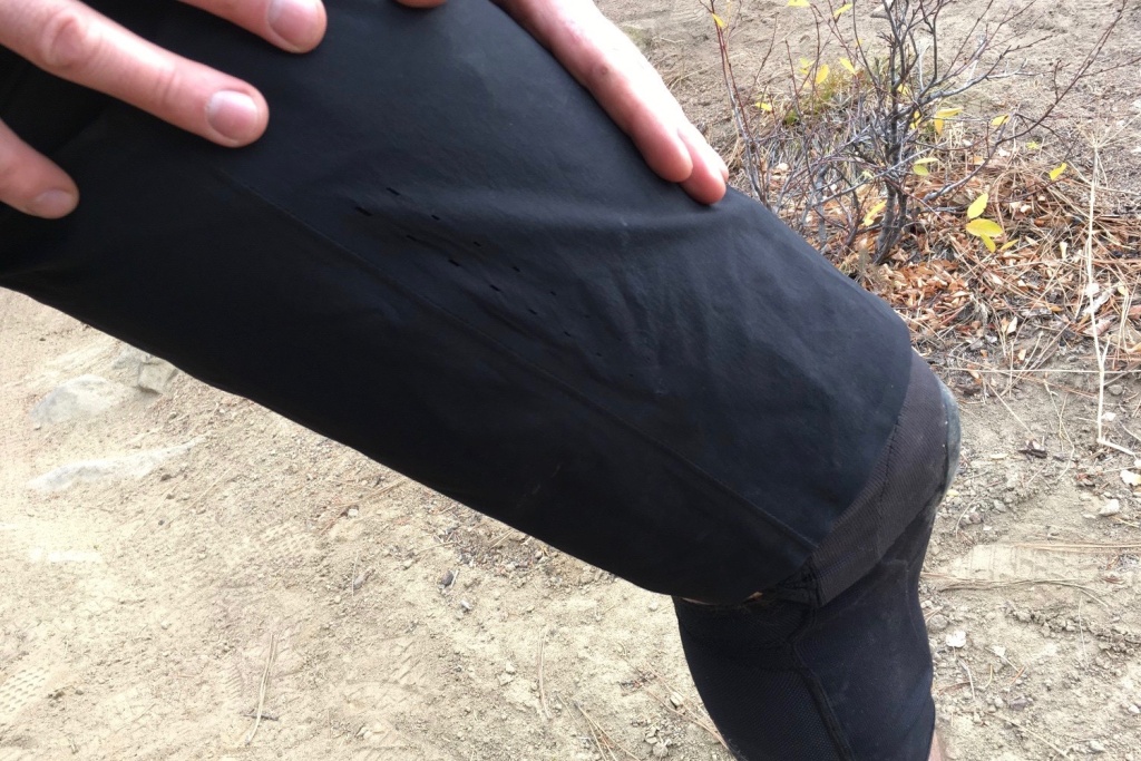 100 celium shorts cheap