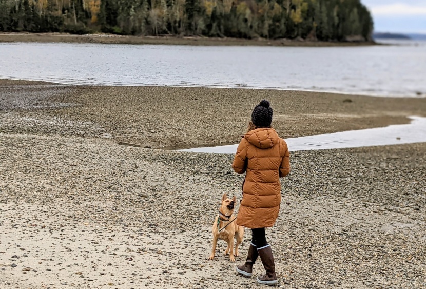 rei co-op norseland insulated parka - when you have to take as many walks as this dog demands, you need to...