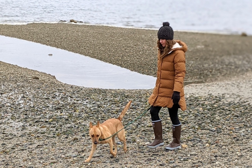 rei co-op norseland insulated parka - warm and easy to wear the norseland gives you great value.