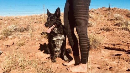 Product photo of Odlo Performance Light Bottoms - Women's