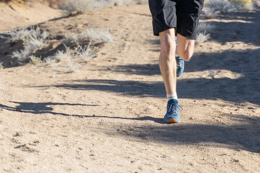 la sportiva karacal - though the karacals aren't very sensitive, they don't feel terribly...