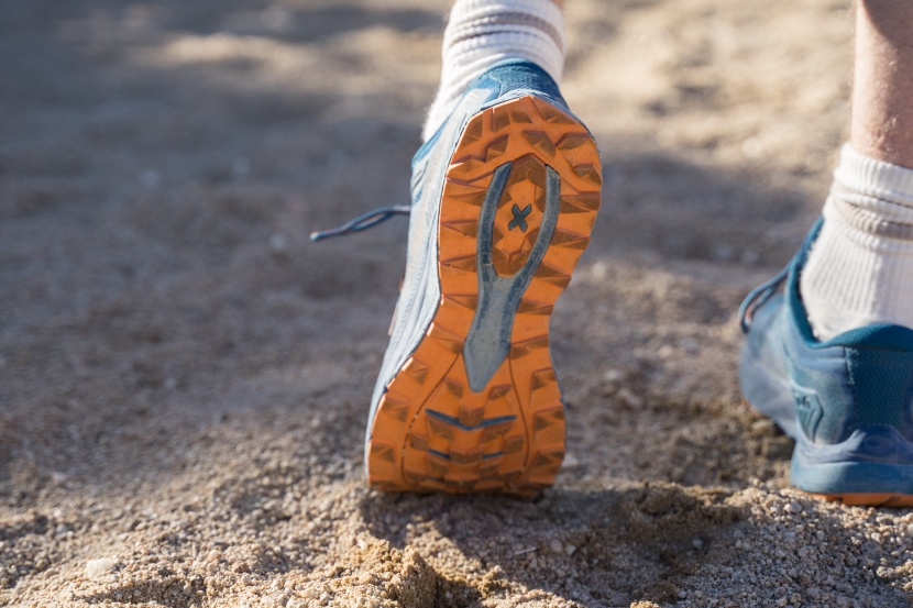 la sportiva karacal - la sportiva's frixion rubber is both durable and sticky.