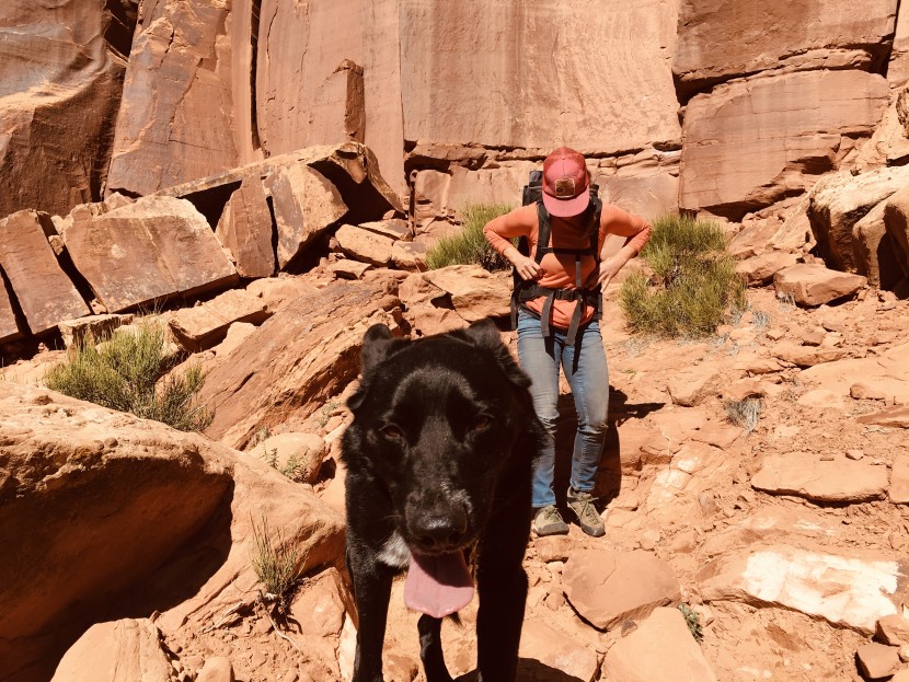 odlo kinship light crew for women - the odlo kinship light breaks the fall winds and protects us from...