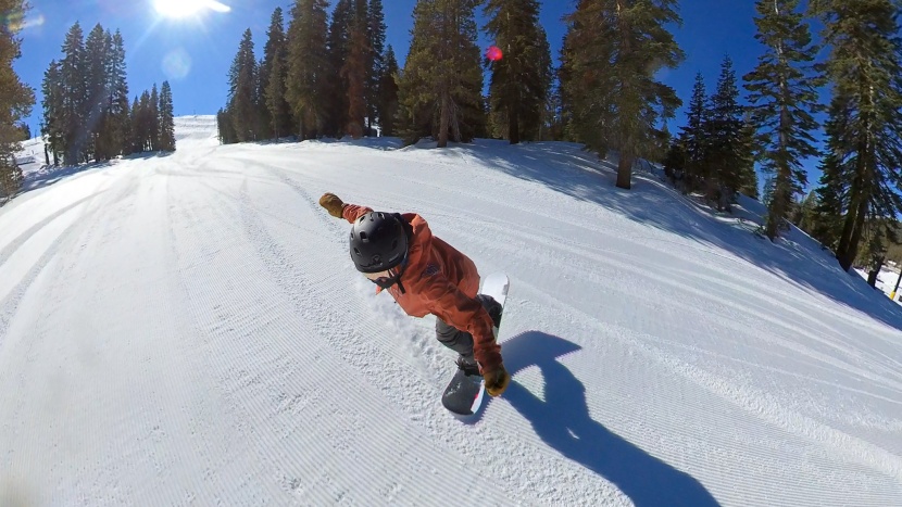 never summer proto synthesis