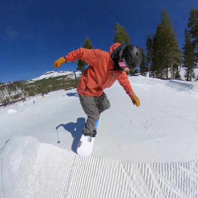 never summer proto synthesis