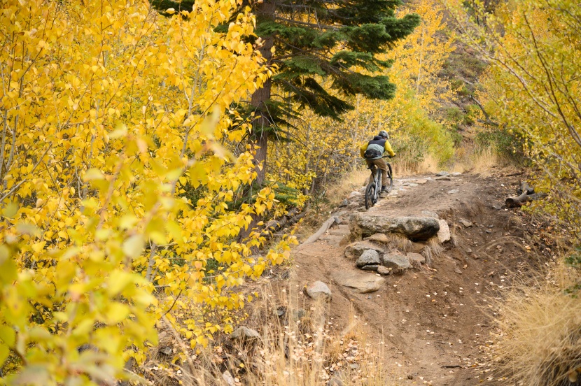 yt izzo core 4 - the izzo is light for a trail bike. this thing is quick uphill.