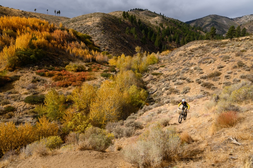 yt izzo core 4 - thanks to its light weight, stiff frame, and awesome build, the izzo...