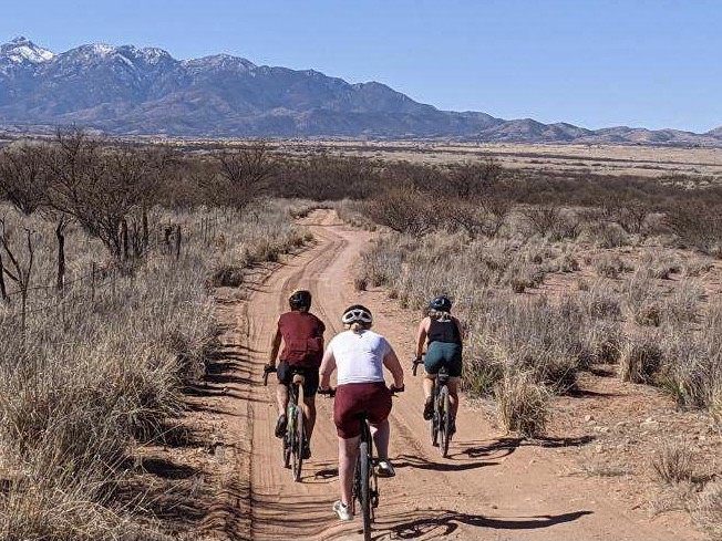 our testers took mounts on gravel roads, rocky singletrack, and...