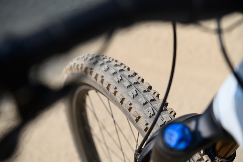 the maxxis minion dhf is the benchmark of aggressive trail riding...