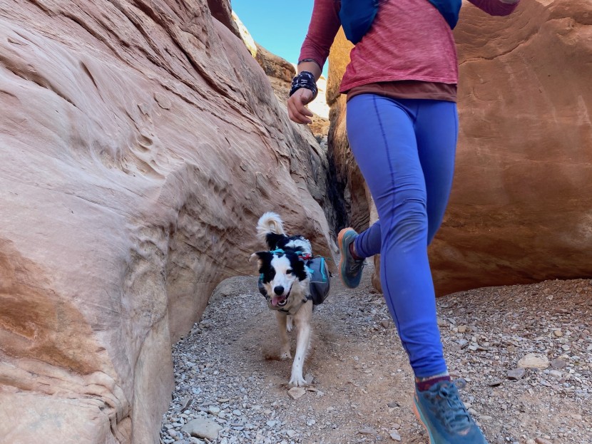 hoka torrent 2 for women - riley (the dog) might have a more sensitive experience with just her...