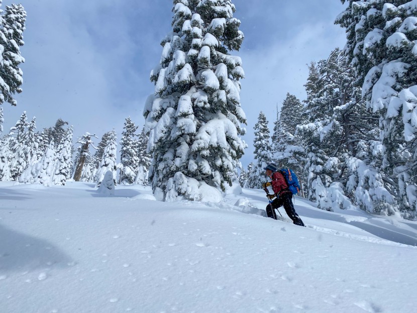 smartwool ski full cushion - ski touring is a great way to test both warmth and breathability in...