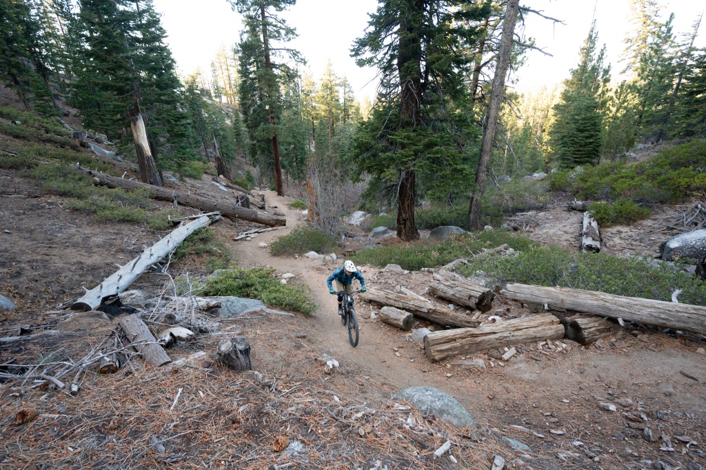 marin rift zone 29 2 - this bike is a comfortable, capable, and relatively efficient...