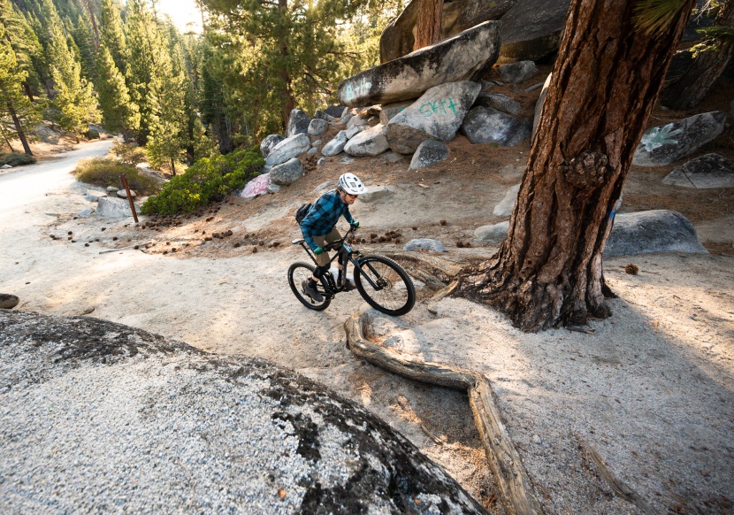 marin rift zone 29 2 - this bike brings a lot of value to the table. we think it&#039;s a great...