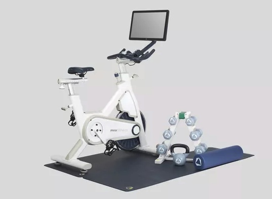 myx ii plus exercise bike review