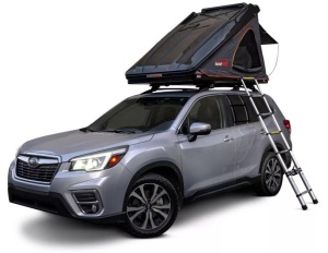 roofnest sparrow eye