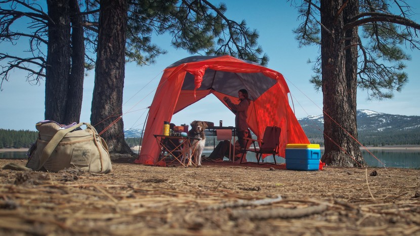 camping tent - the shelter mode feature with the bunk house 6 makes for an awesome...