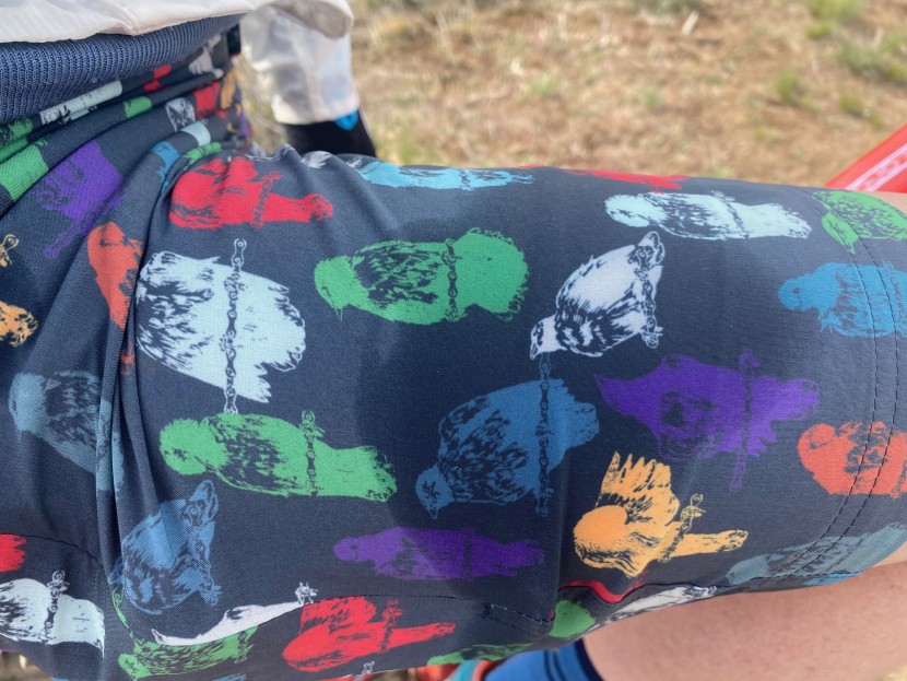 pearl izumi summit shell short women&#039;s - the summit short is not at all water-resistant.