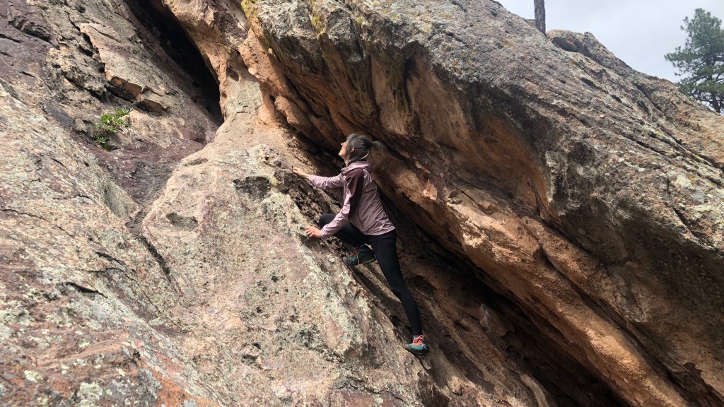 softshell jacket womens