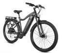 Best Overall Electric Bike