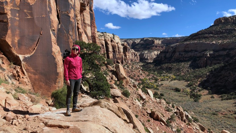 softshell jacket womens - a good active softshell should be thin enough to wear on breezy but...