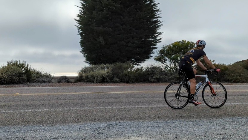 endura pro sl bib short - pedal friendliness usually presents itself when you're out hitting...