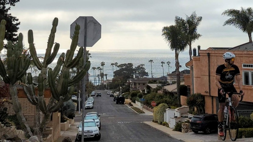 endura pro sl bib short - climbing, spinning, cranking, or attacking rollers, the endura pro...