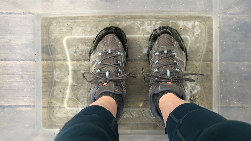 merrell moab 2 wp for women - the moab 2 wp proved to be waterproof in our bucket test!