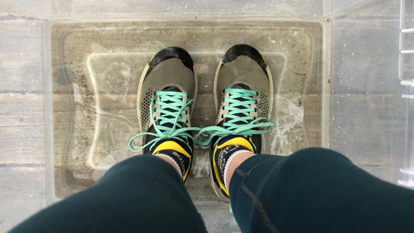 danner trail 2650 for women - within a minute the trail 2650&#039;s were fully wet. as long as you...