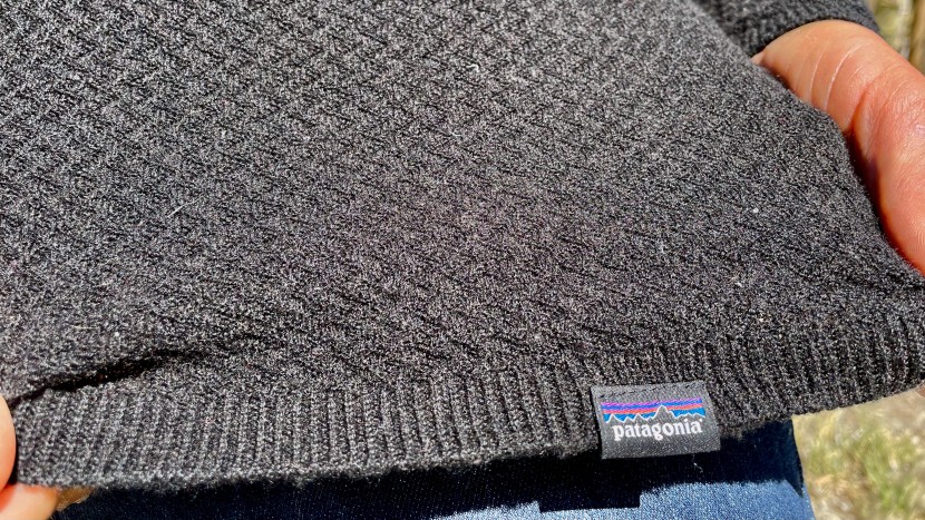 Patagonia Capilene Air Hoody - Women's Review | Tested